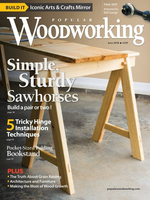 Title details for Popular Woodworking by Active Interest Media HoldCo, Inc. - Available
